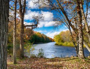 River and trees in the fall