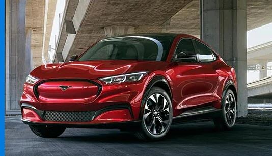 Ewald's Venus Ford, LLC in Cudahy WI